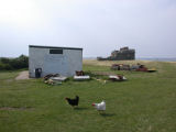 Piel Castle, Piel Island, Piel Island Ferry