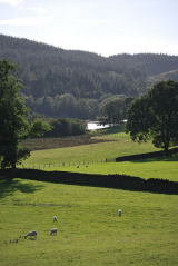 Esthwaite