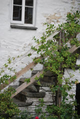 Hawkshead