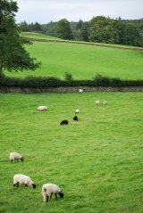 Far Sawrey HillTop