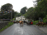 Far Sawrey Cows