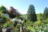 Garden Far Sawrey