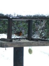 Lake District Snow Scene