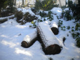 Lake District Snow Scene