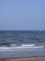 Seascale, Seascale Cumbria Seascale Beach